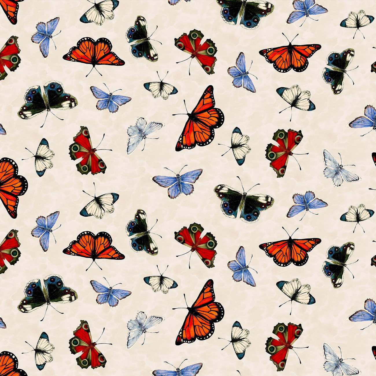 Product Image For Y5088-57.