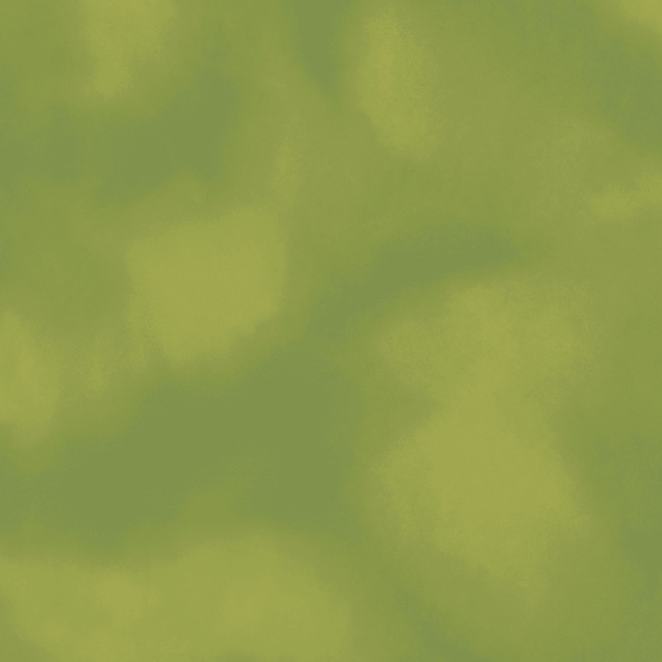 Product Image For Y5089-24.