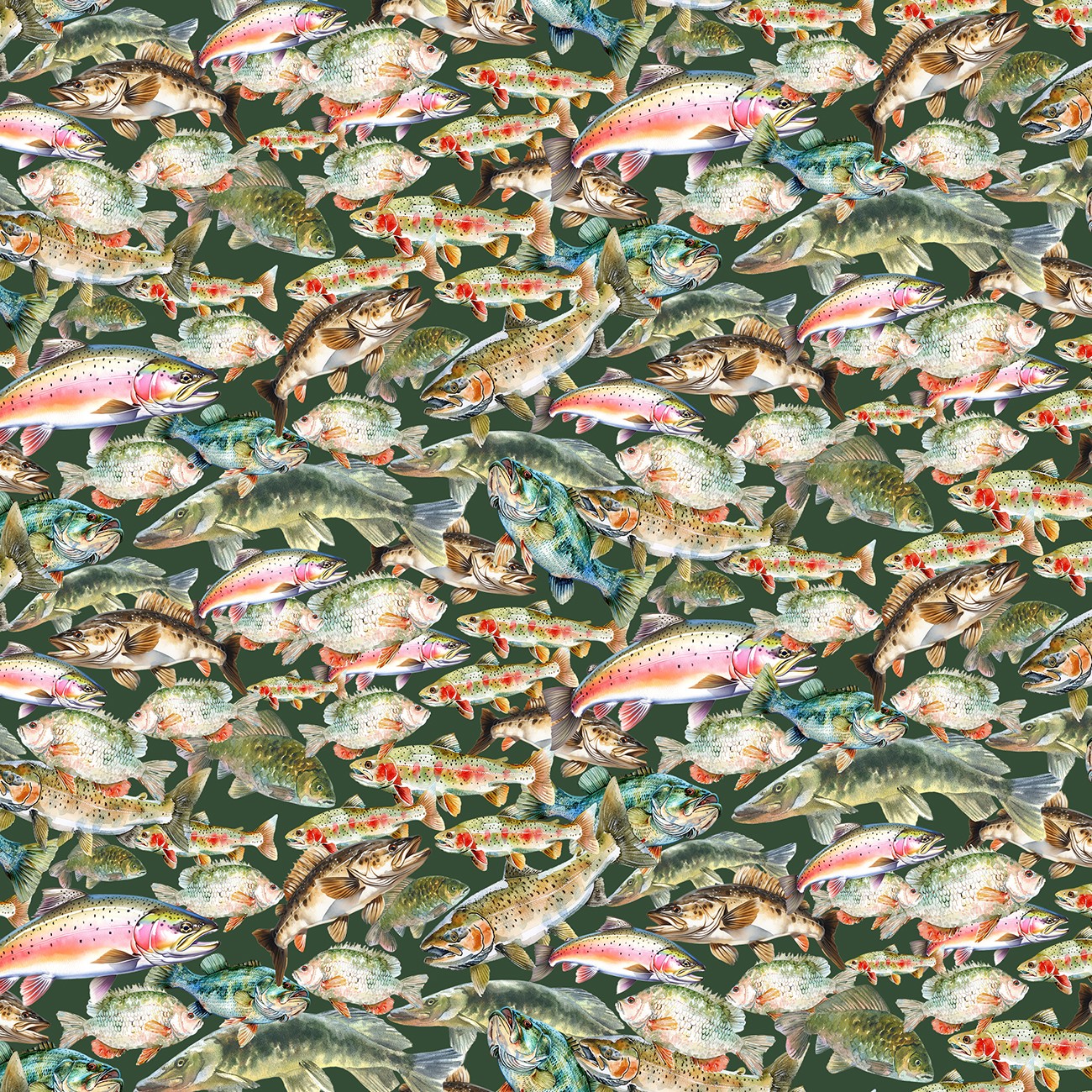 Product Image For Y5099-55.