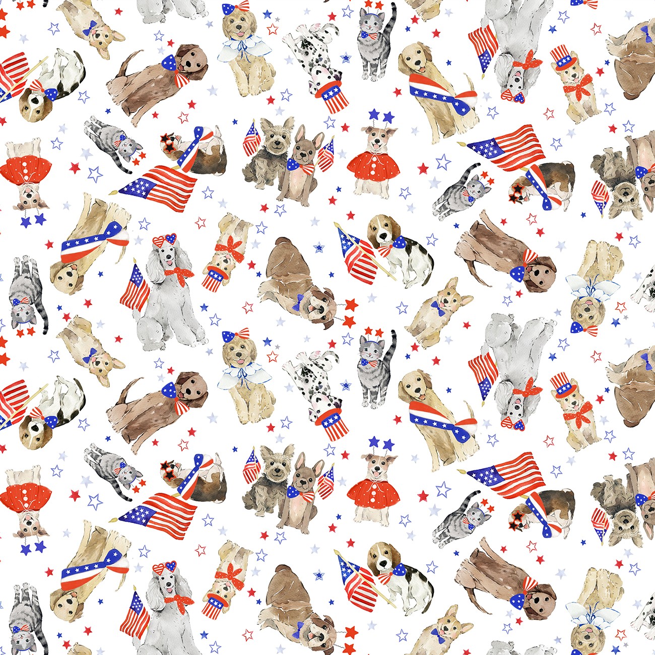 Product Image For Y5104-1.