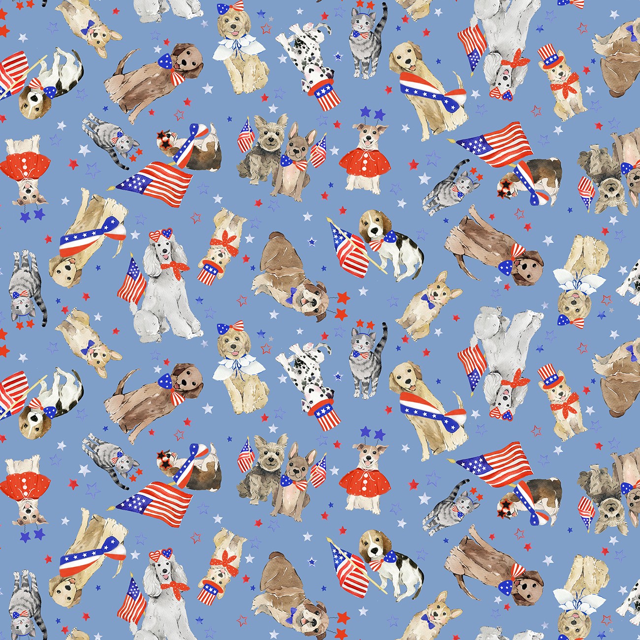Product Image For Y5104-88.