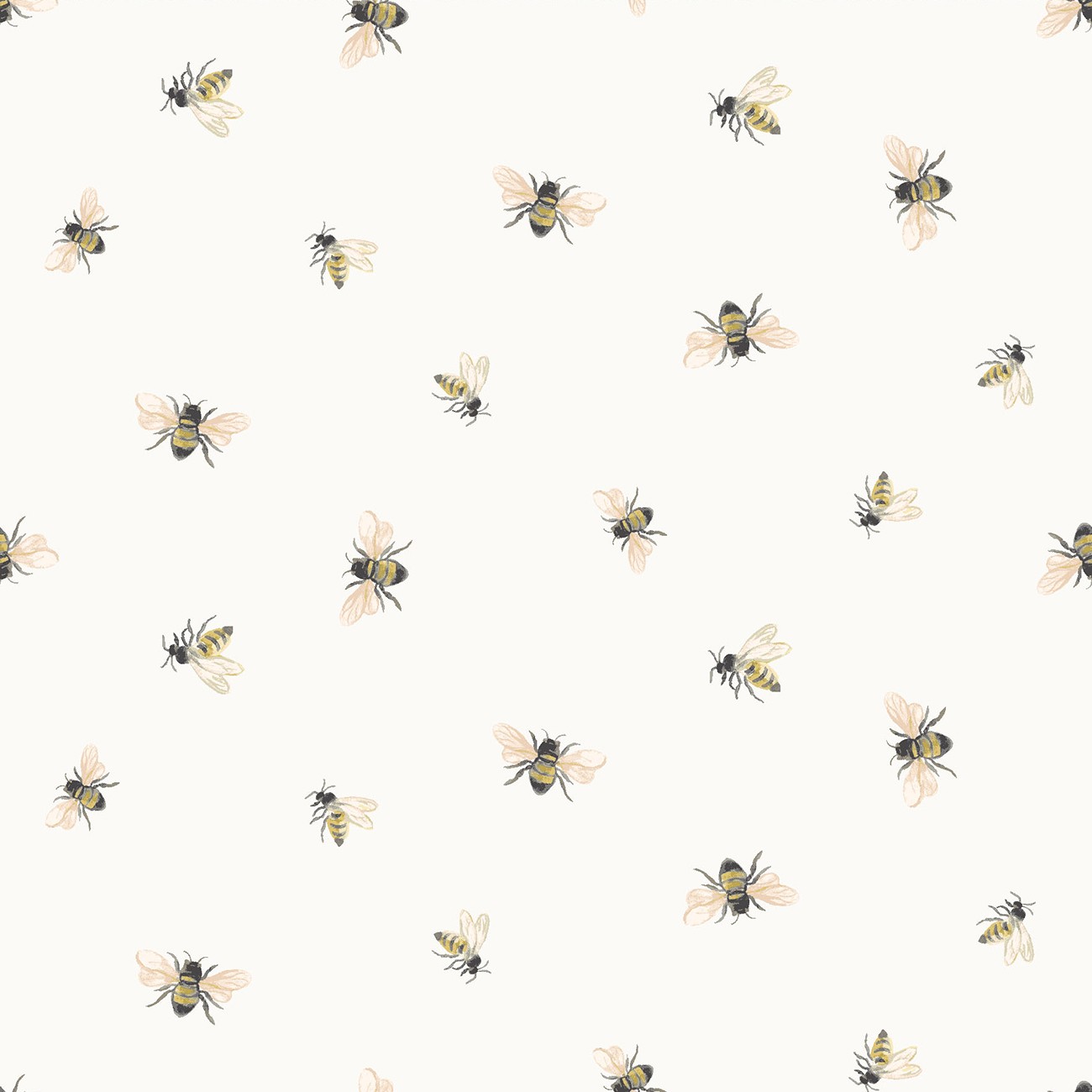 Product Image For Y5116-1.