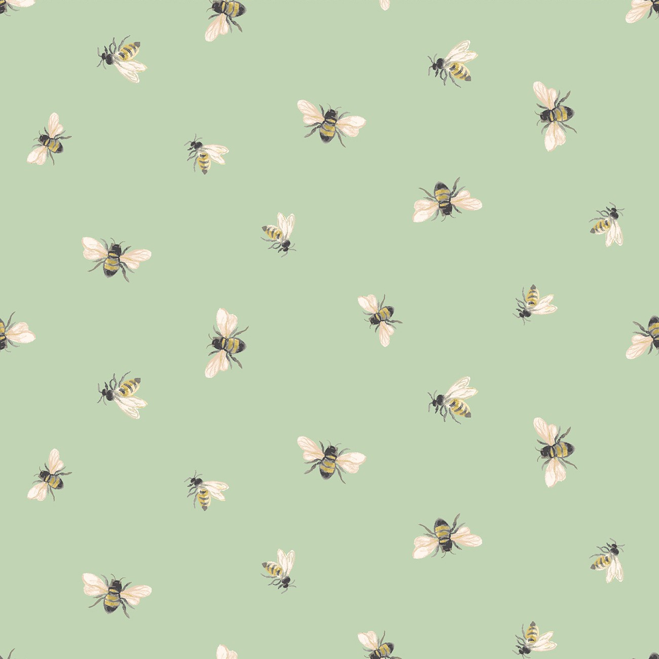 Product Image For Y5116-110.