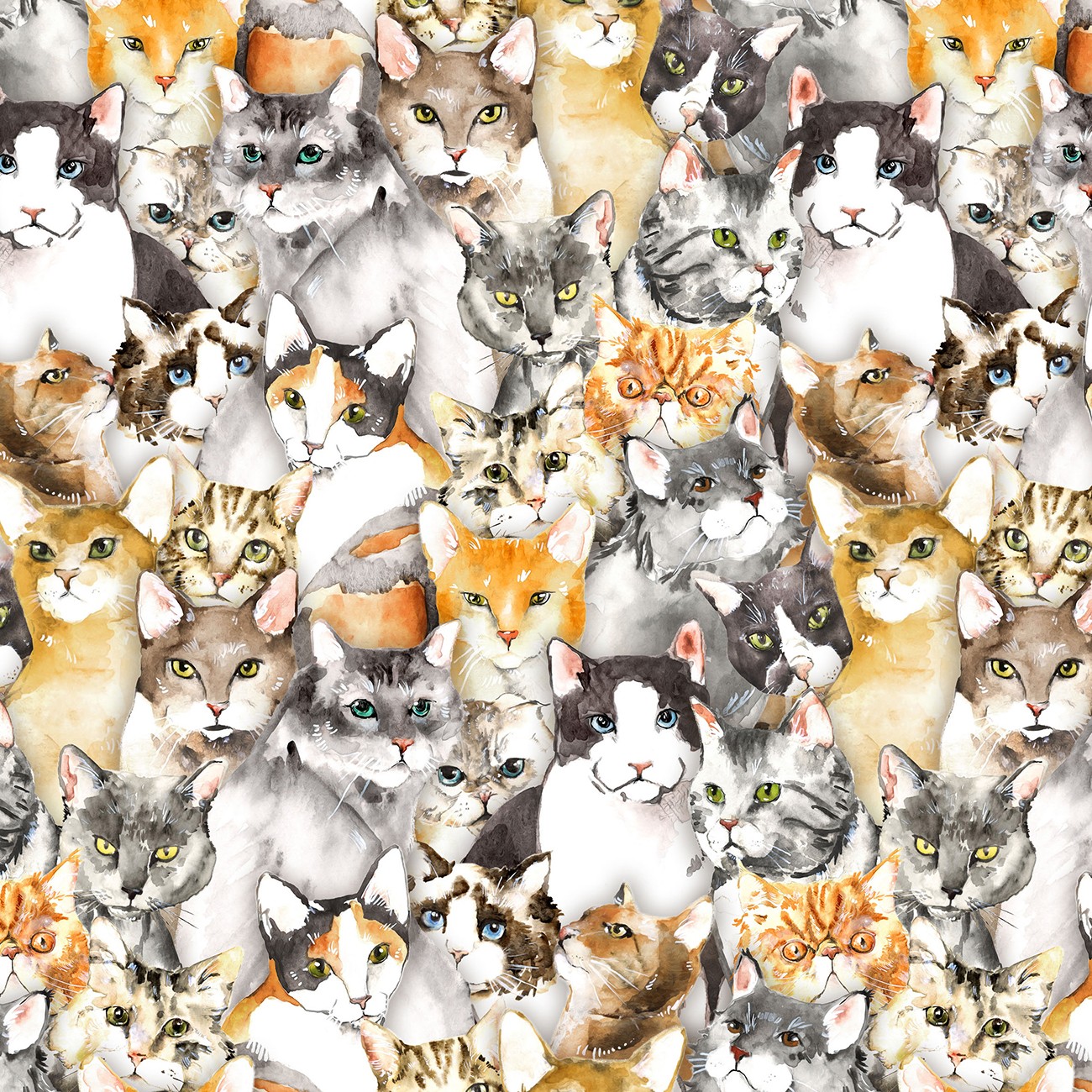 Product Image For Y5158-55.