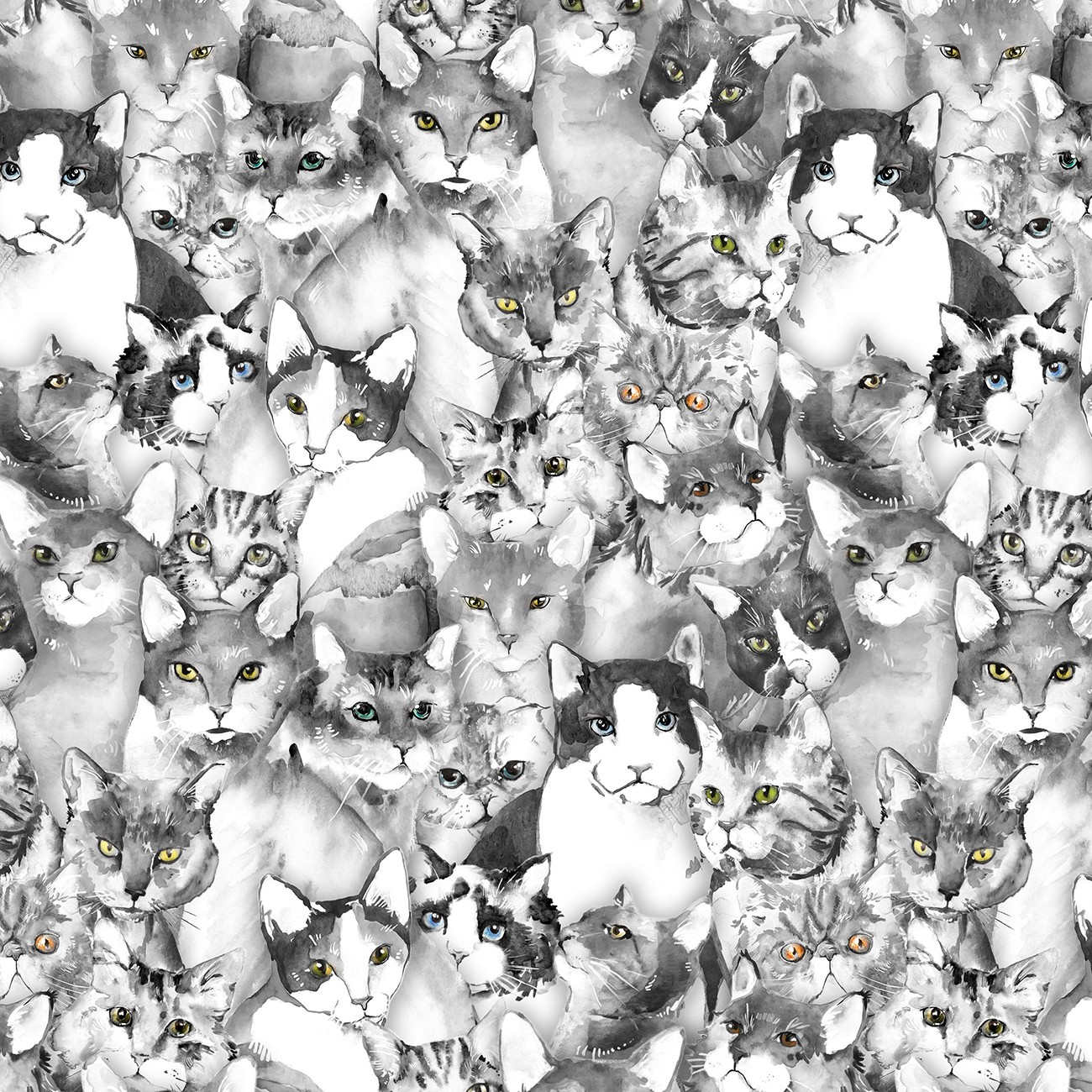Product Image For Y5158-6.