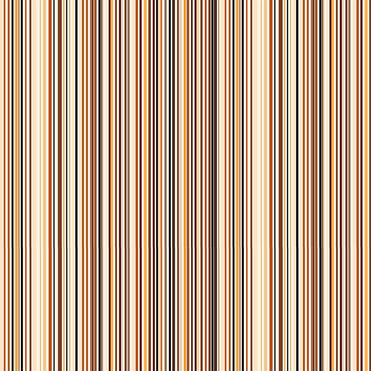 Product Image For Y5171-55.