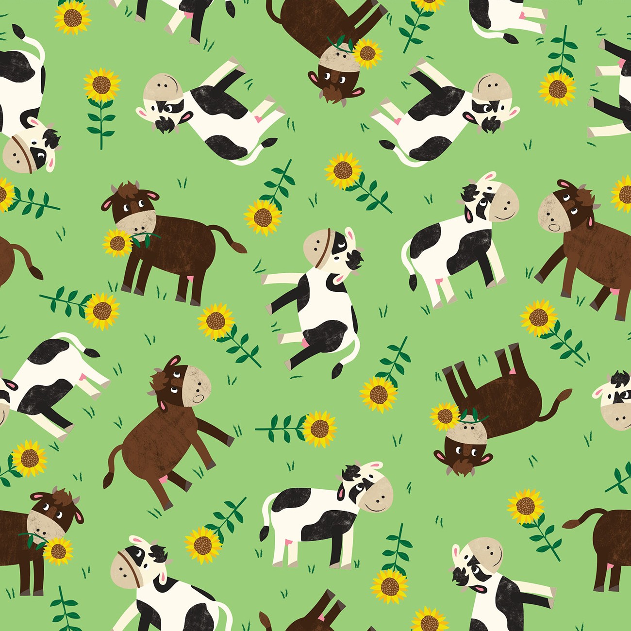 Product Image For Y5222-21.