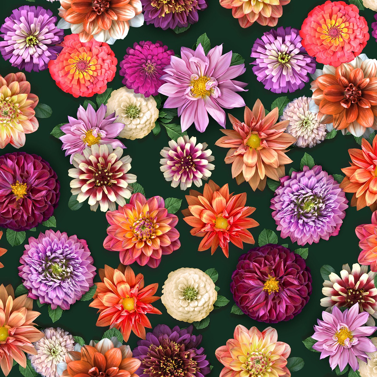 Product Image For Y5284-113.