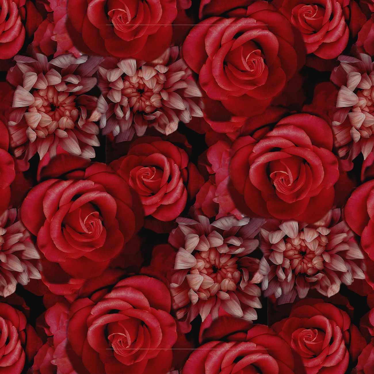 Product Image For Y5854H-78.