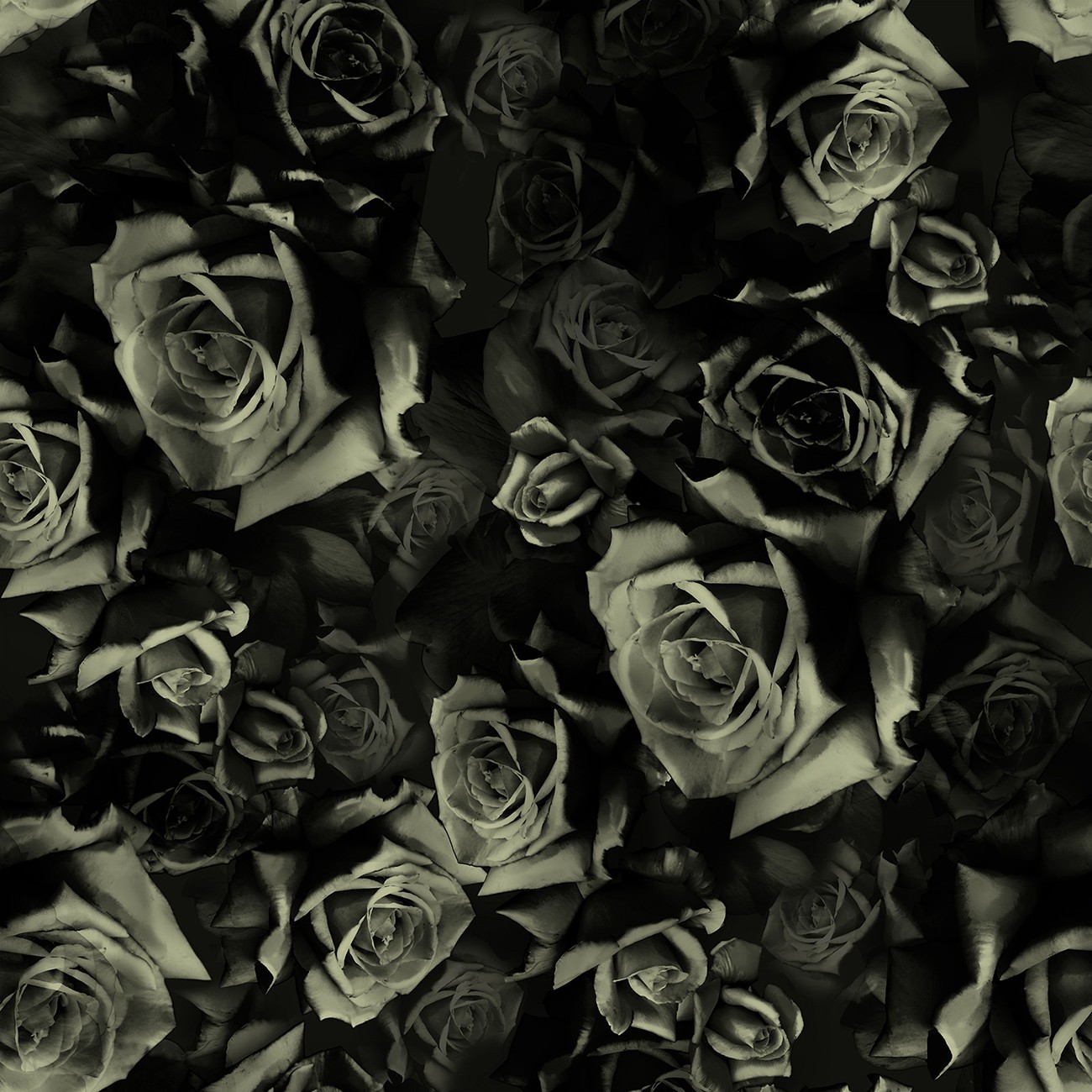 Product Image For Y5855H-213.