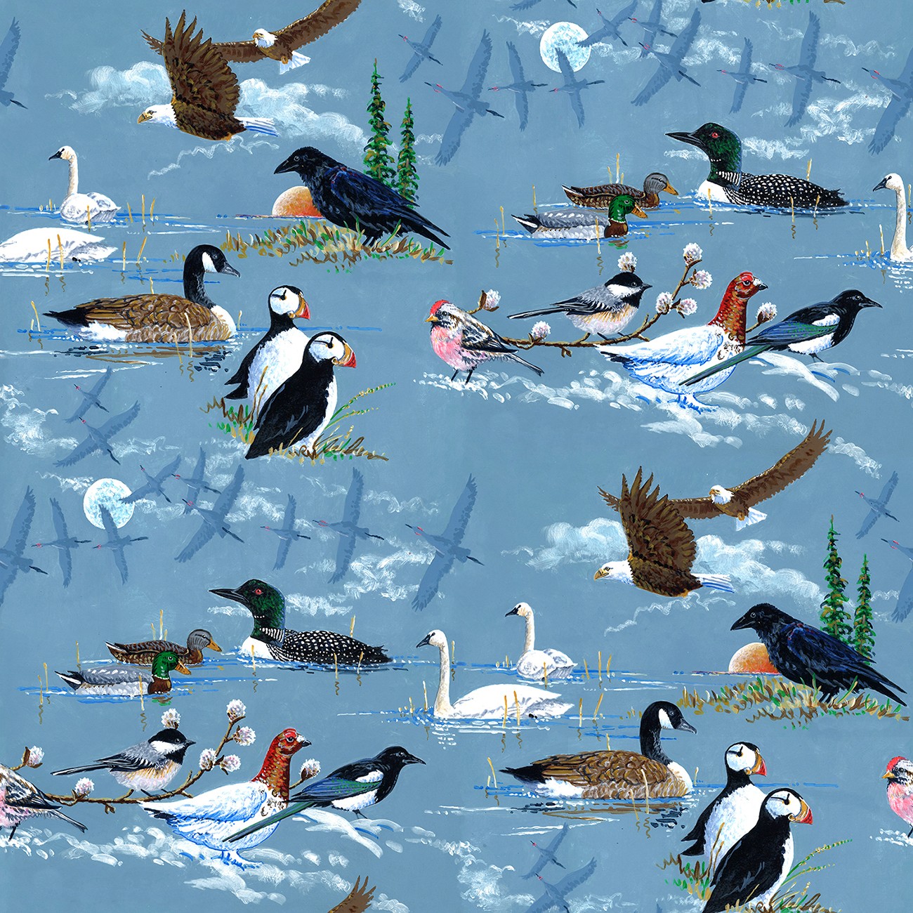 Product Image For Y5862H-258.